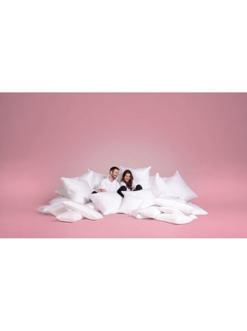 Häussling Bettwaren Federkissen in Weiß