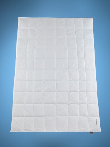 Häussling Bettwaren Daunendecke "Grönland" in Weiß