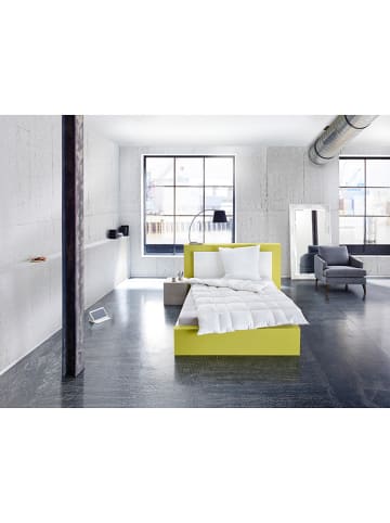 Häussling Bettwaren Letnia kołdra puchowa "Select" w kolorze białym