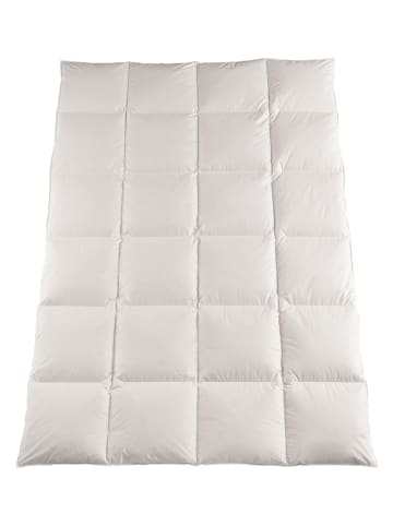Häussling Bettwaren Winter-Daunendecke "Daunenliebling" in Weiß