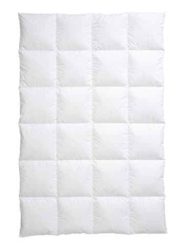 Häussling Bettwaren Daunendecke "Home - Extra Warm" in Weiß