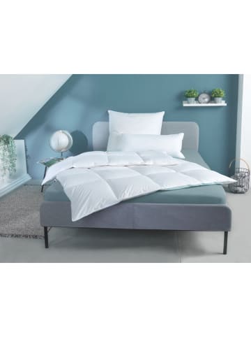 Häussling Bettwaren Daunendecke "Home - Extra Warm" in Weiß