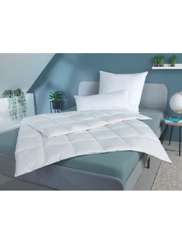 Häussling Bettwaren Całoroczna kołdra puchowa w kolorze białym