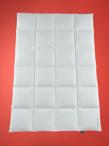 Häussling Bettwaren Winter-Daunendecke ''Re'Dream'' in Weiß