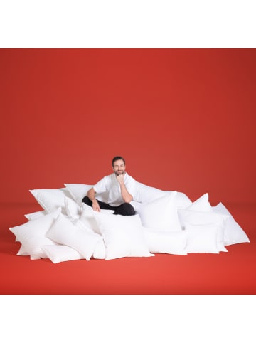 Häussling Bettwaren Winter-donsdekbed ''Re'Dream'' wit