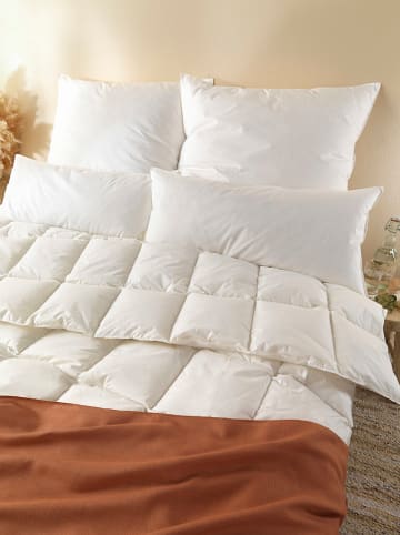 Häussling Bettwaren Sommer-Daunendecke in Weiß