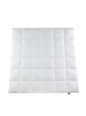 Häussling Bettwaren Donsdekbed "Special" wit