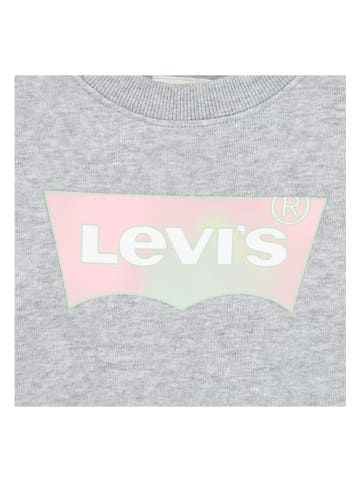 Levi's Kids Kleid in Grau