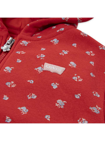 Levi's Kids 3tlg. Outfit in Bunt