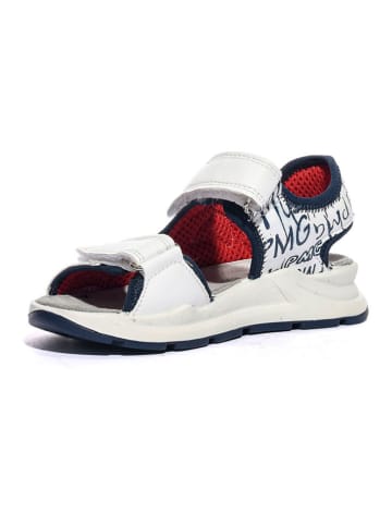 Primigi Sandalen in Dunkelblau