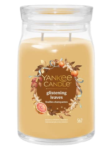 Yankee Candle Duftkerze ''Glistening Leaves'' - 567 g