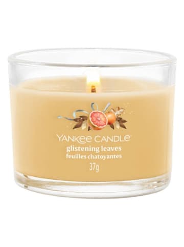 Yankee Candle Geurkaars ''Glistening Leaves'' - 37 g