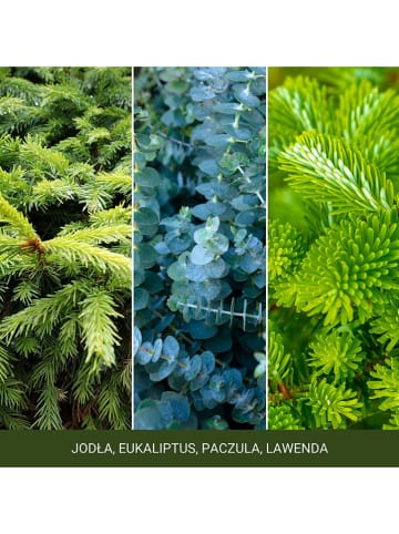 Yankee Candle Duftkerze ''Shimmering Christmas Tree'' - 37 g