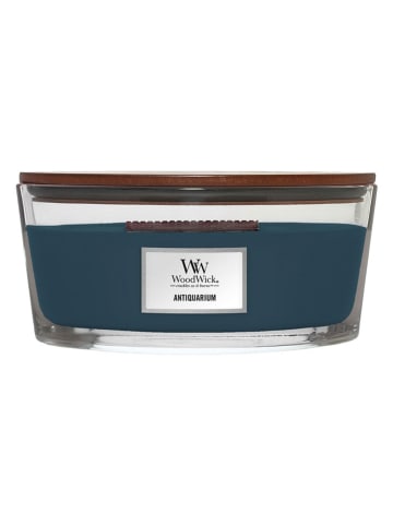 WoodWick Geurkaars "Antiquarium'' in Petrol - 453,6 g