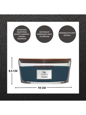 WoodWick Geurkaars "Antiquarium'' in Petrol - 453,6 g