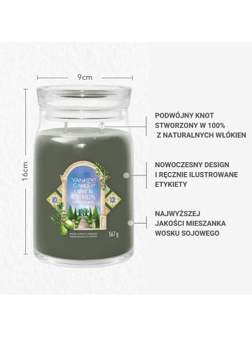 Yankee Candle Świeca zapachowa "Olive & Cypress" - 567 g