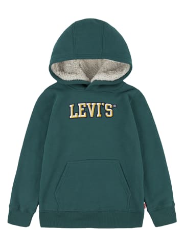 Levi's Kids Hoodie in Grün