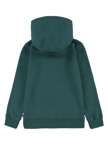 Levi's Kids Hoodie groen