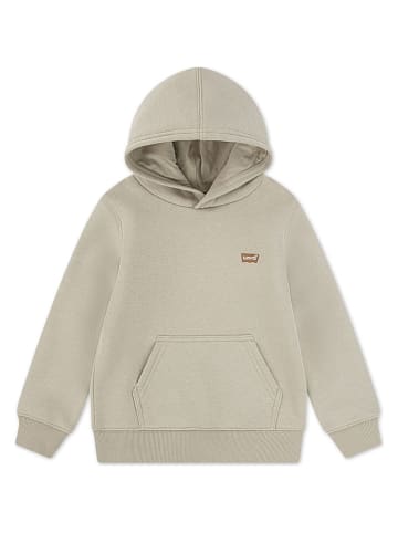 Levi's Kids Hoodie in Beige
