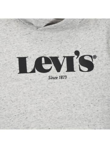Levi's Kids Hoodie grijs