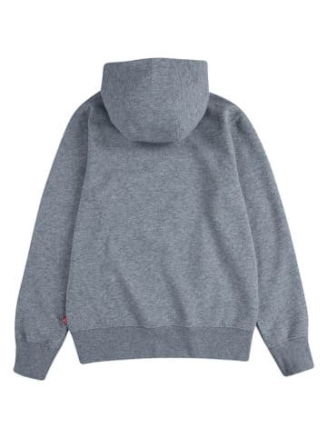Levi's Kids Hoodie grijs