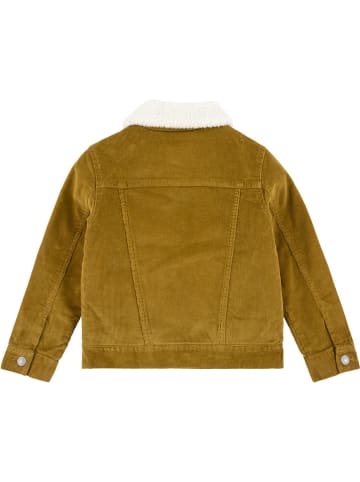 Levi's Kids Blousejas kaki