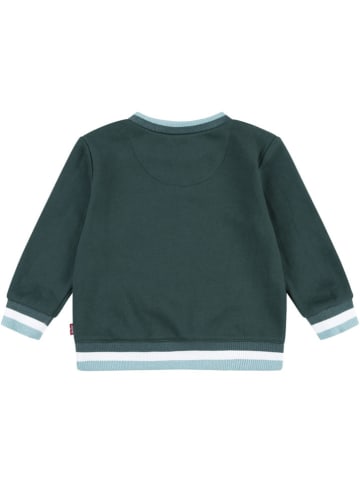 Levi's Kids Sweatshirt groen/wit/lichtblauw