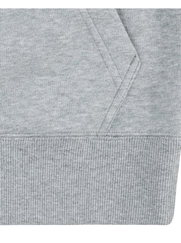 Levi's Kids Hoodie in Grau