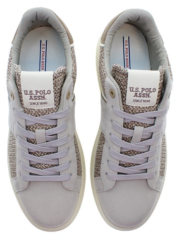 U.S. Polo Assn. Sneakers in Grau/ Braun