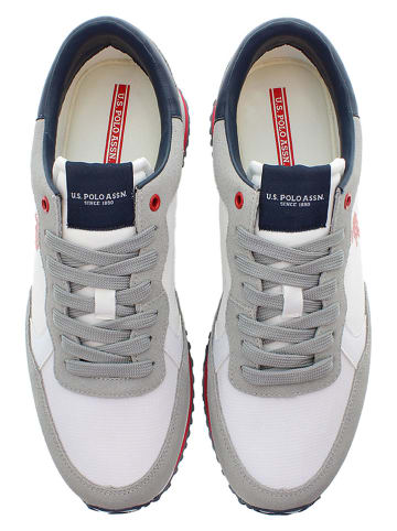 U.S. Polo Assn. Sneakers in Weiß/ Grau
