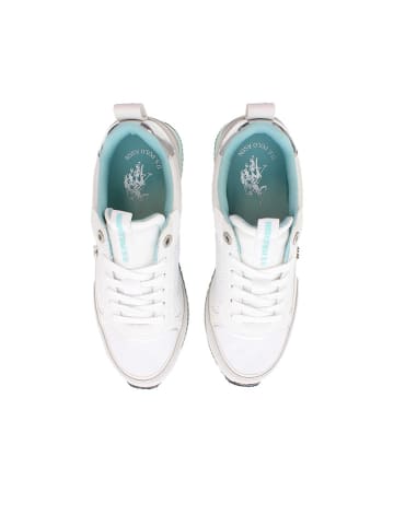 U.S. Polo Assn. Sneakers in Weiß/ Türkis