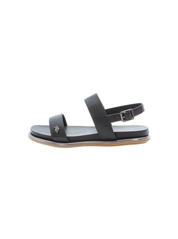 U.S. Polo Assn. Sandalen in Schwarz