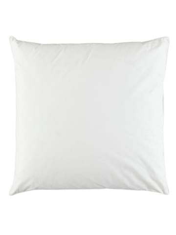Schäfer Federkissen "Arktis - 85" in Weiß
