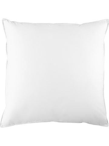 Schäfer Federkissen "Masuren - 85" in Weiß