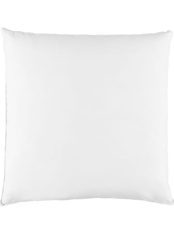 Schäfer Federkissen "Masuren - 85" in Weiß