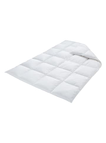 Schäfer Kassettenstegbettdecke "Bayern Budget" in Weiß