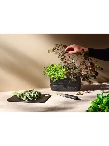 RIG-TIG Kruidenbloempot "Pot-it" zwart - (B)22,2 x (H)10,7 x (D)11,3 cm