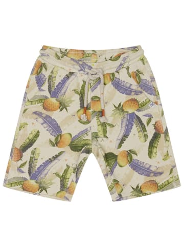 Noppies Shorts "Lamar" in Bunt