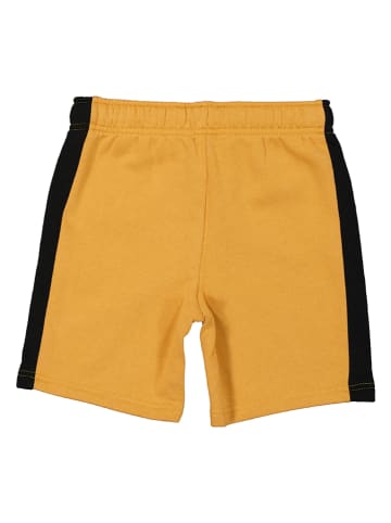 True Religion Sweatshorts in Hellbraun