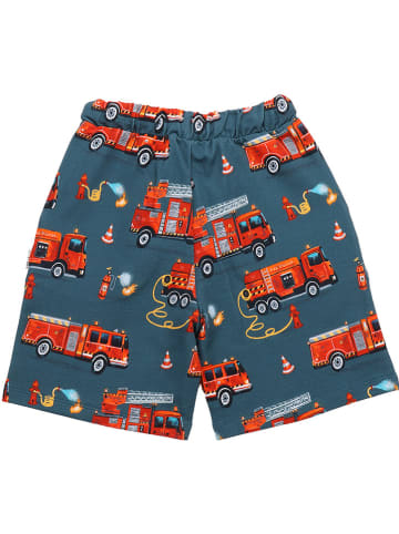 Walkiddy Shorts in Dunkelblau