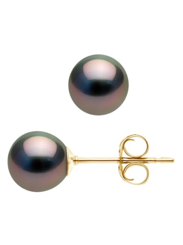 Pearl Addict Perlen-Ohrstecker in Tahitifarben