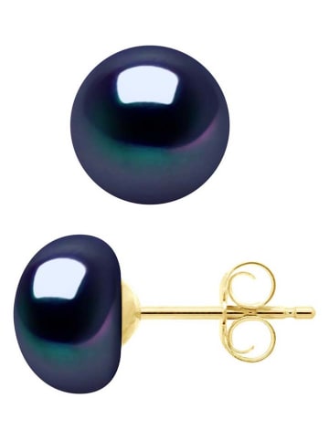 Pearl Addict Parel-oorstekers tahitikleurig