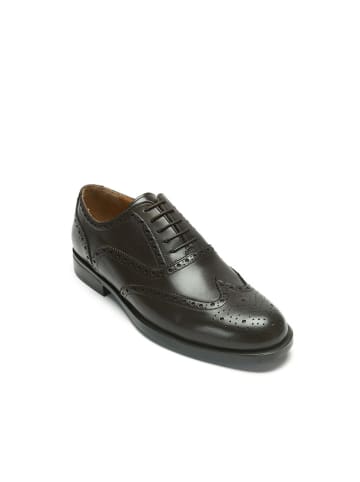 British Passport Leder-Schnürschuhe in Braun