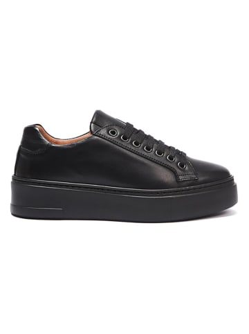British Passport Leder-Sneakers in Schwarz
