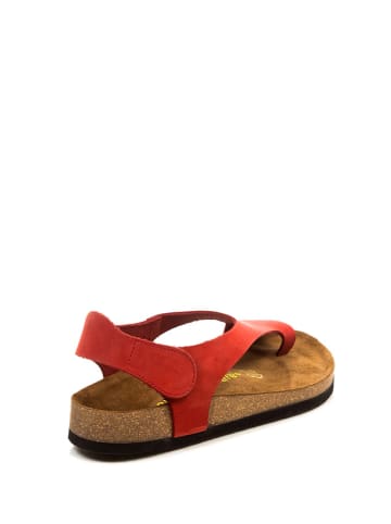 Comfortfusse Leder-Zehensandalen in Rot