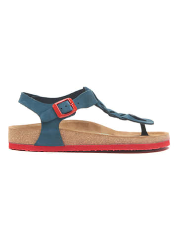 Comfortfusse Skórzane sandały w kolorze niebiesko-czerwonym