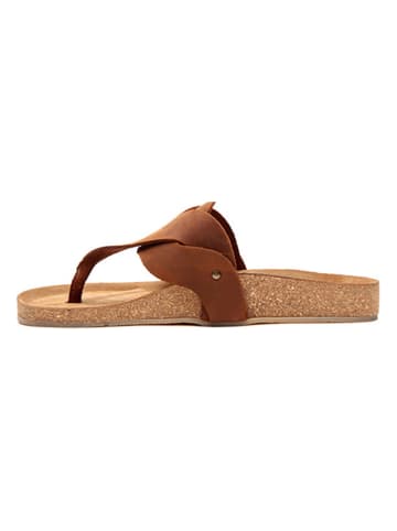 Comfortfusse Leder-Zehentrenner in Braun