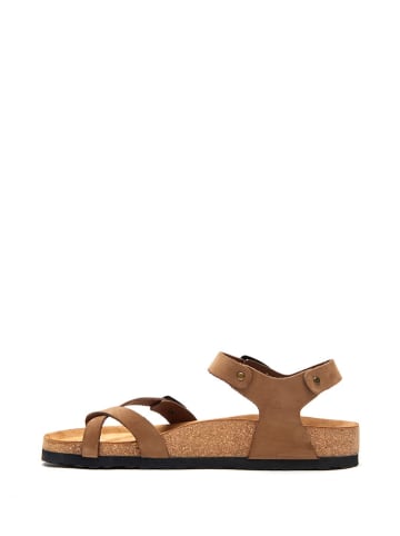 Comfortfusse Leder-Zehensandalen in Sand