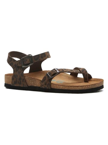 Comfortfusse Leren teensandalen bruin/zwart