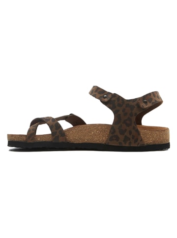 Comfortfusse Leren teensandalen bruin/zwart